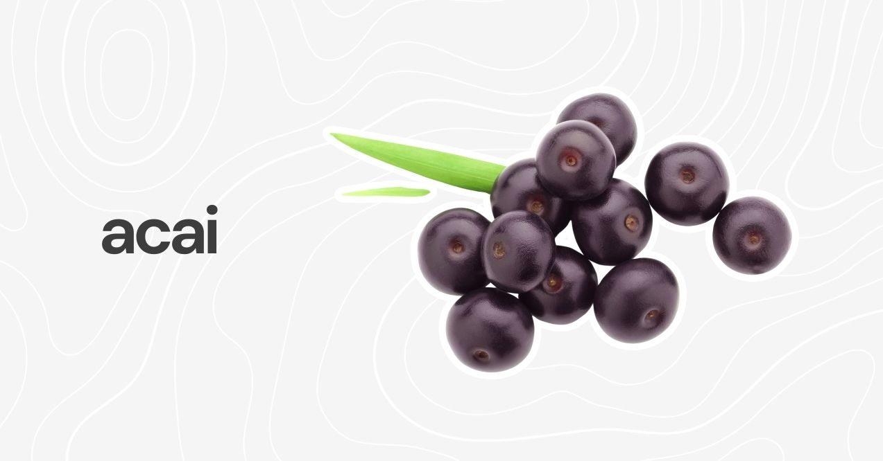 Fresh acai berries with a vibrant purple hue on a white background.