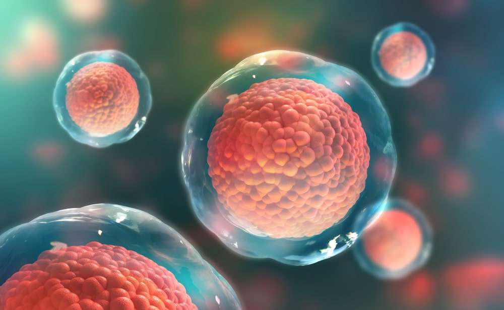 Best Supplements for Cell Regeneration