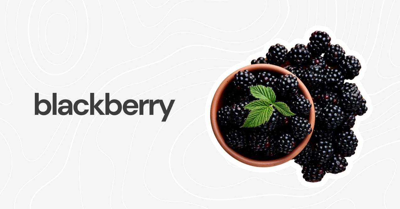 A bowl of blackberries with a garnish of green leaves.