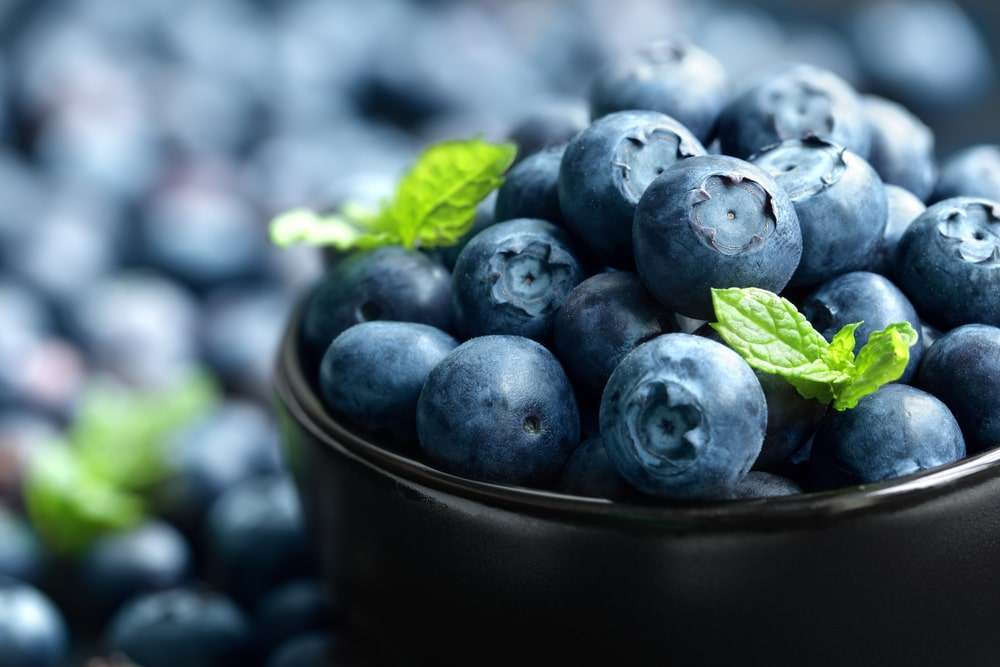 Blueberries for Cell Regeneration