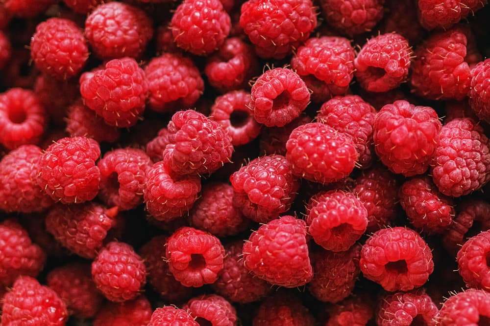 Raspberries for Cell Regeneration