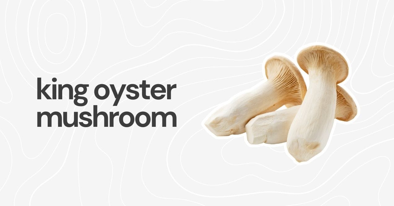 Fresh king oyster mushrooms with thick stems and wide caps on a clean white background.