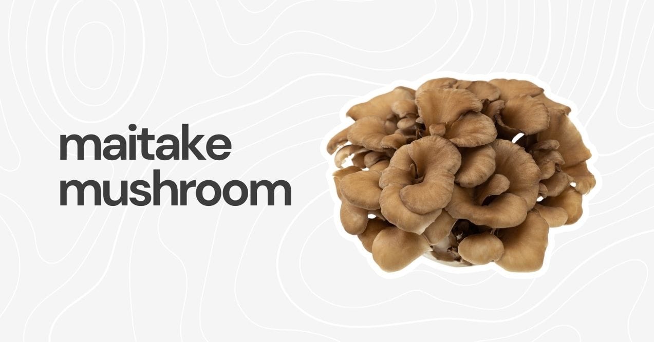 A cluster of fresh maitake mushrooms displayed on a clean white background.