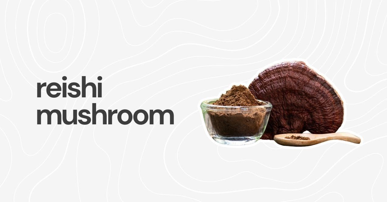 Reishi mushroom with powdered reishi in a glass bowl and a wooden spoon on a white background.