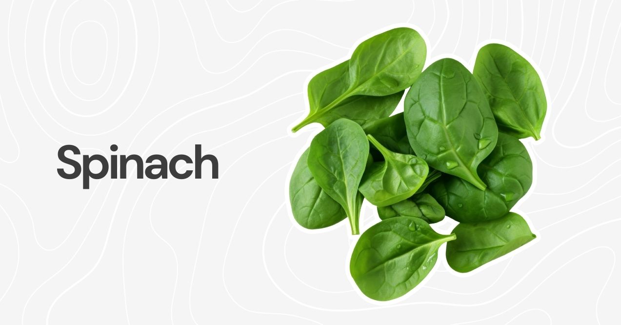 A bunch of fresh spinach leaves on a neutral background.