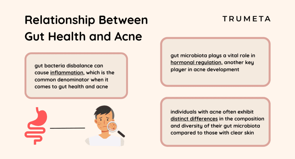 Gut Health and Acne Trumeta Visual