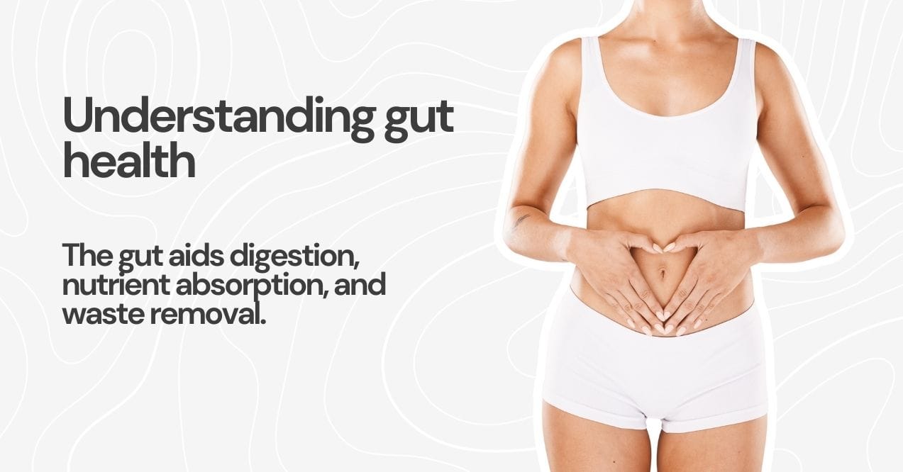 Woman holding her stomach to symbolize gut health and digestion benefits.