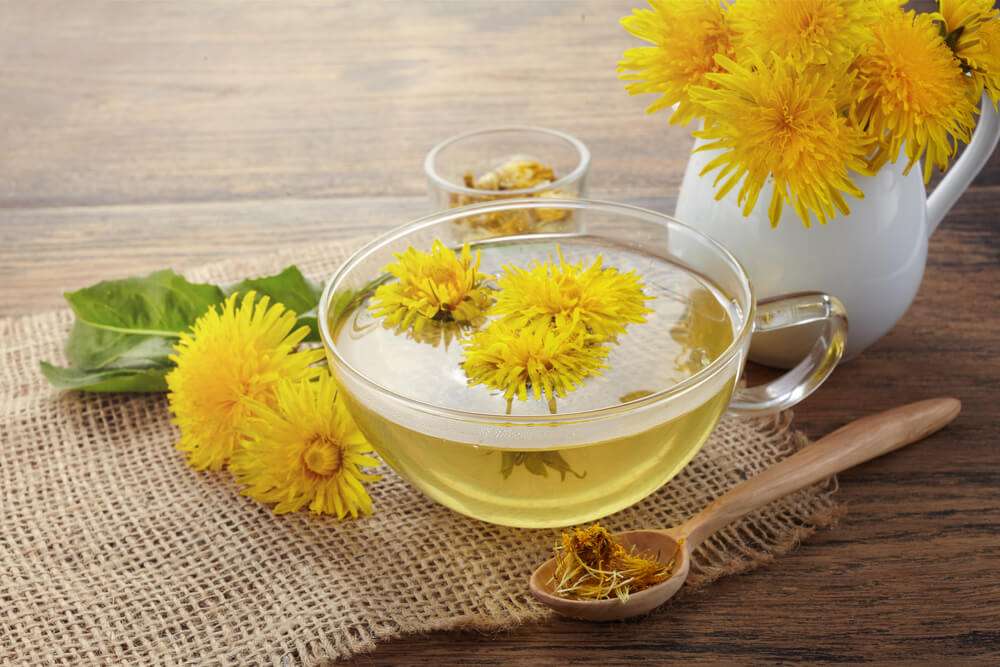A cup of Dandelion Tea for gut health