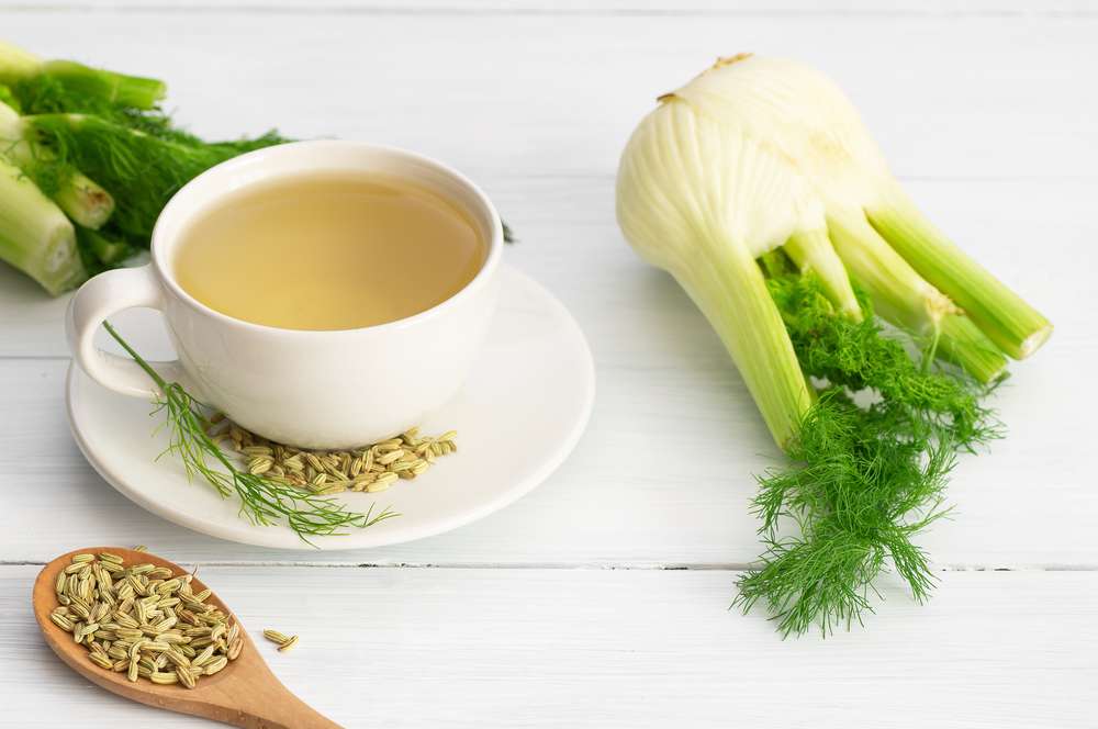 A cup of Fennel Tea for gut health
