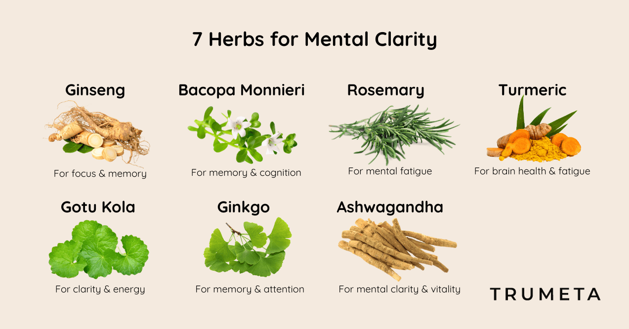 7 Herbs for Mental Clarity