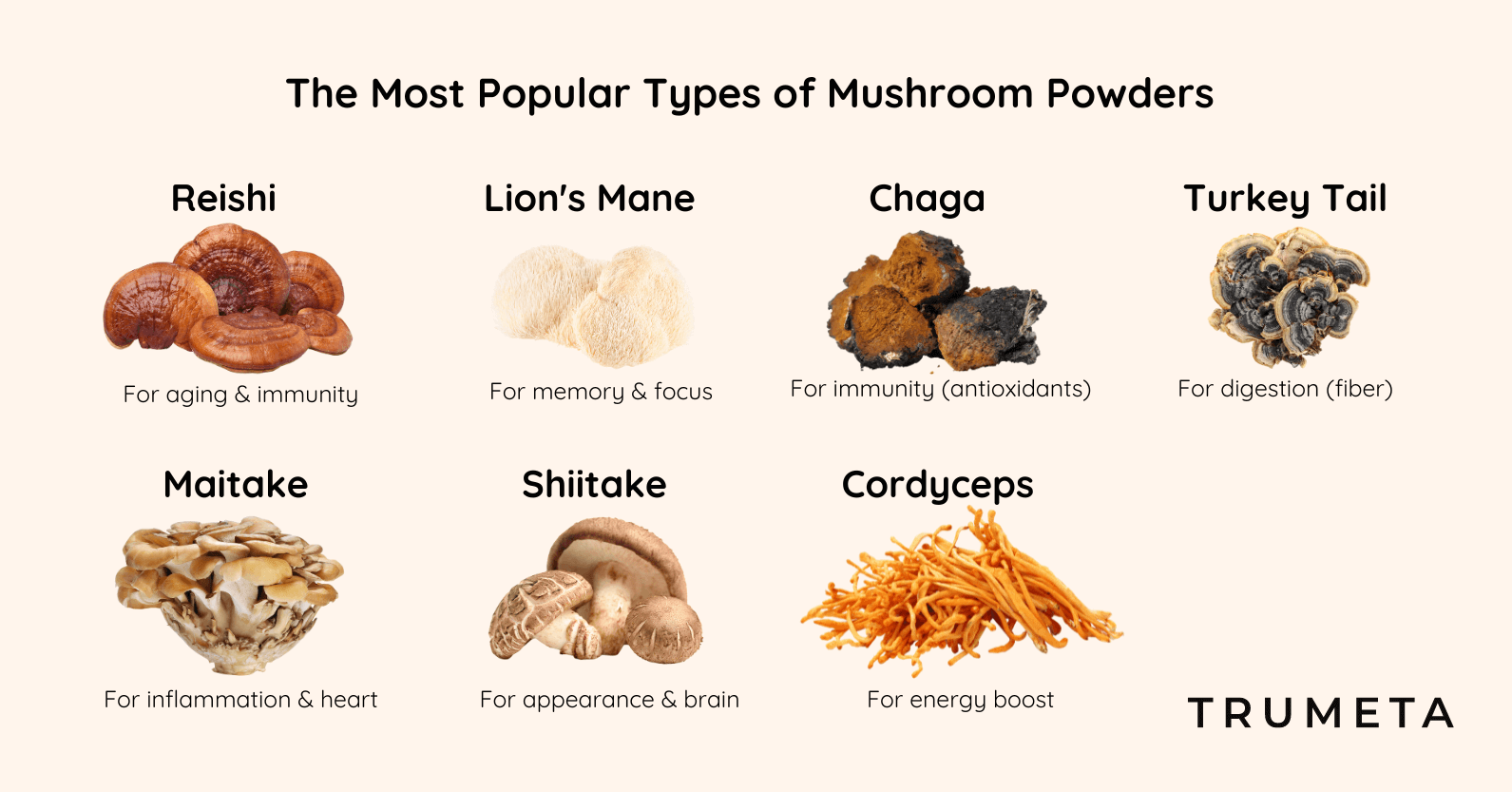 The Most Popular Types of Mushroom Powders - Reishi, Lion's Mane, Chaga, Turkey Tail, Maitake, Shiitake, Cordyceps