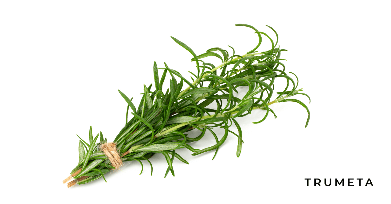 Rosemary in the white background