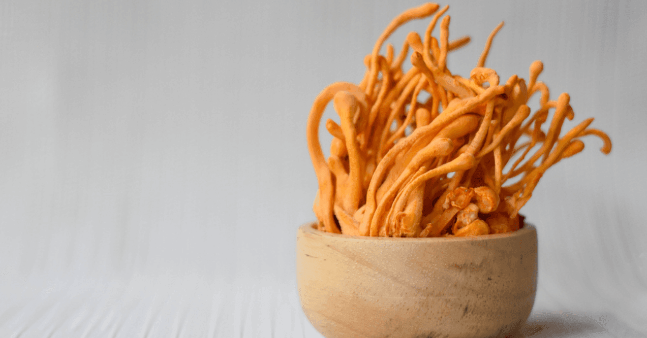 Fresh Cordyceps militaris in wooden cup on white background.