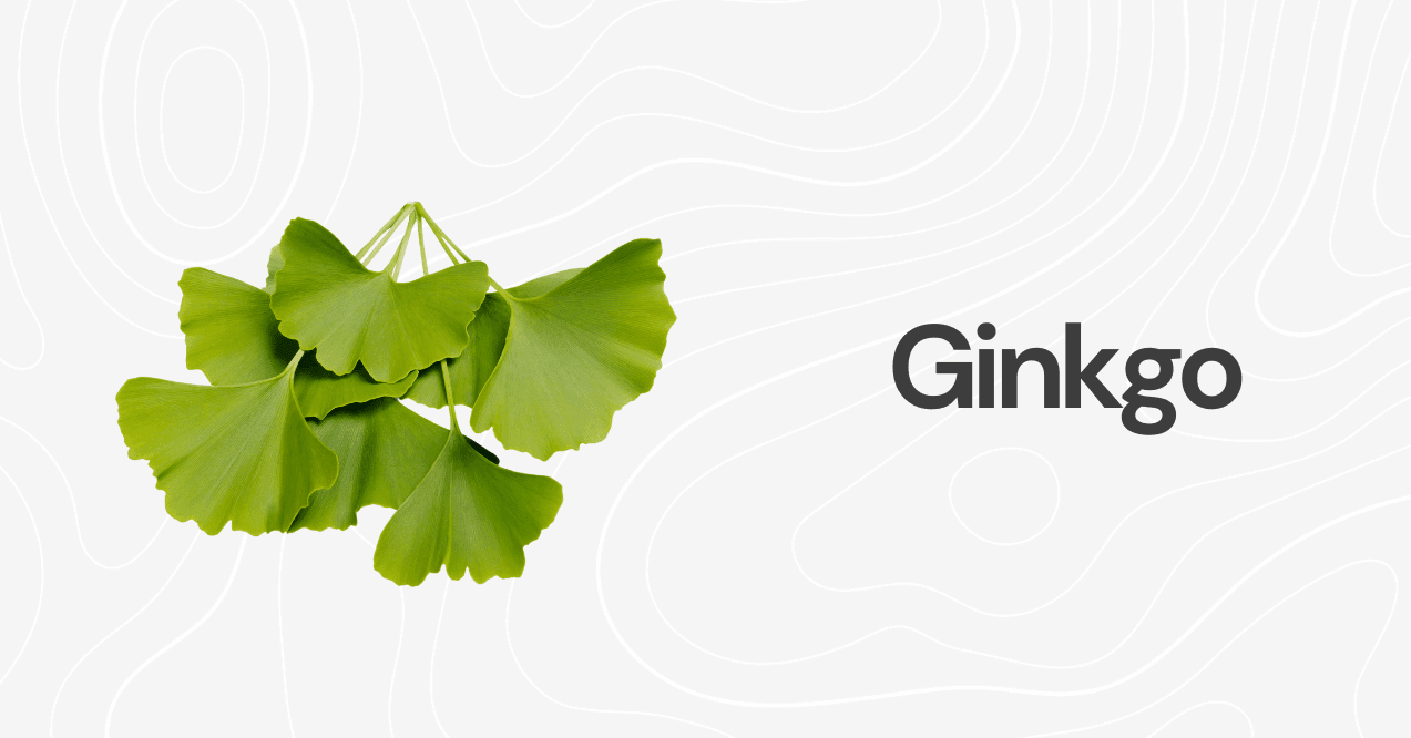 Ginkgo