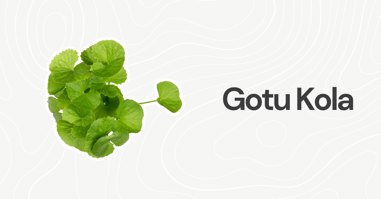 Gotu Kola