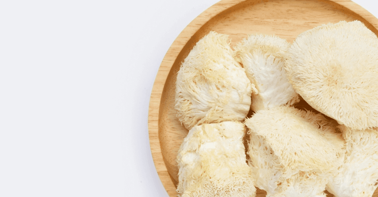 Fresh rare lion's mane mushroom