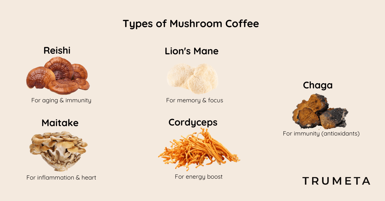 Infographic of Types of Mushroom Coffee