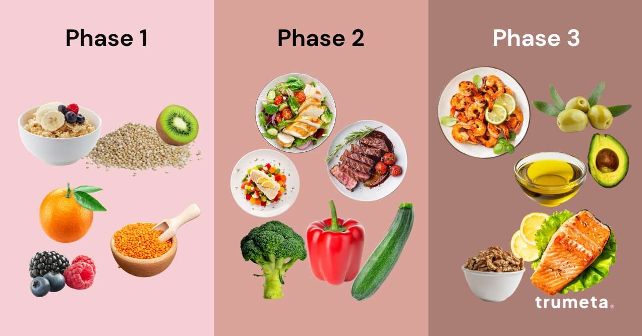 Illustration of 3 fast metabolism phases depicting three sections: phase 1 with carbs, phase 2 with proteins and vegetables, phase 3 with good fats