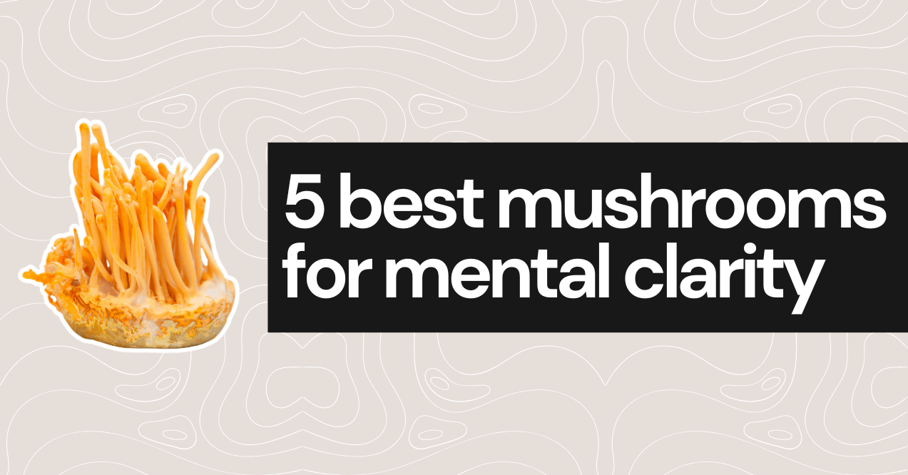 5 best mushrooms for mental clarity
