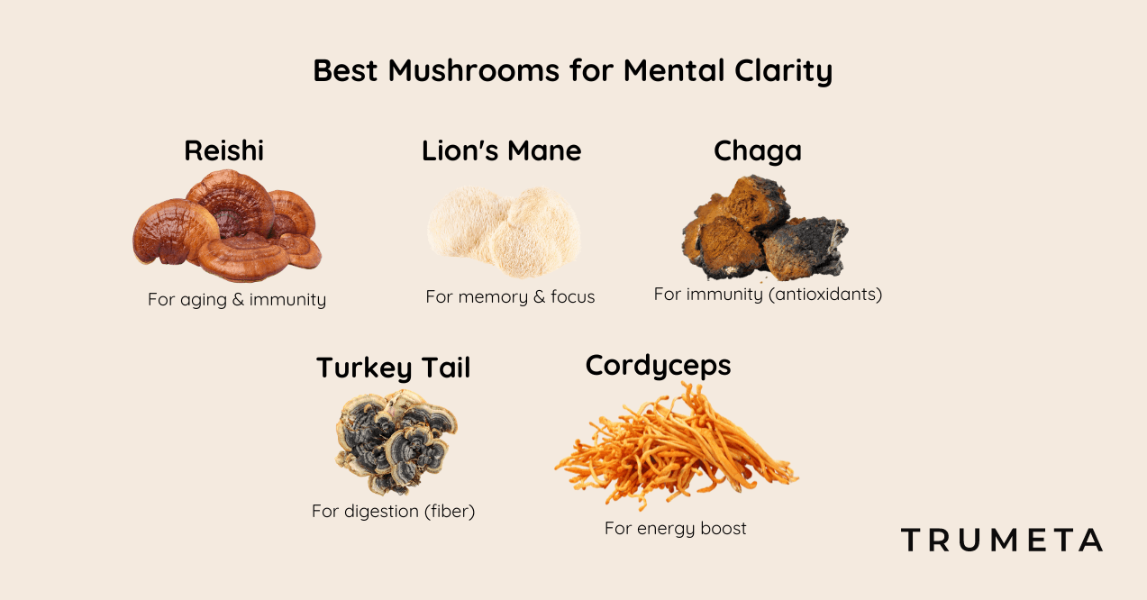 Best Mushrooms for Mental Clarity Infographic