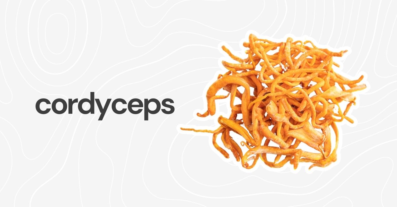 Cordyceps mushrooms, orange and worm-like, prized for energy and vitality support.