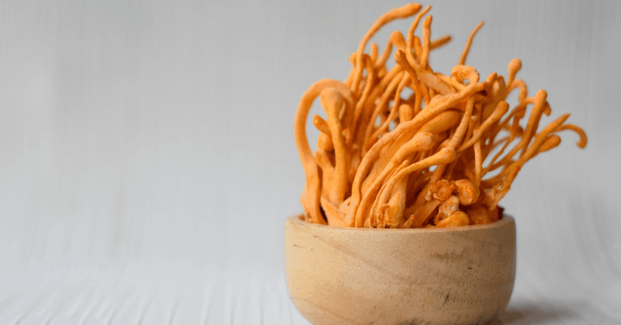 A bowl of cordyceps