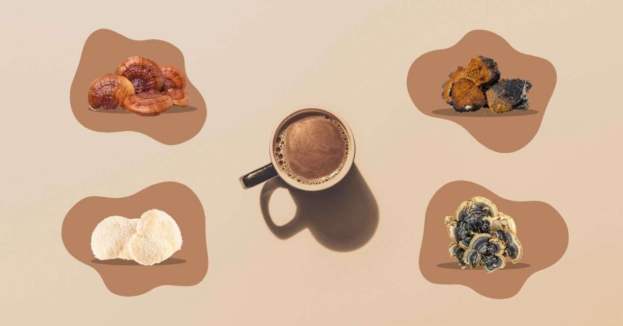Coffee cup surrounded by reishi, lions mane, chaga, turkey tail mushrooms, brown background
