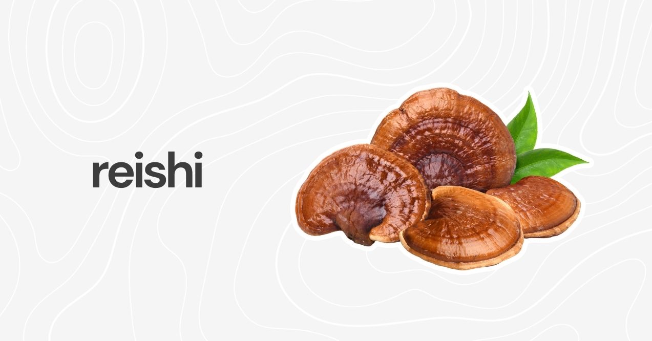 Reishi mushrooms, glossy red and brown, used for stress management and immune support.