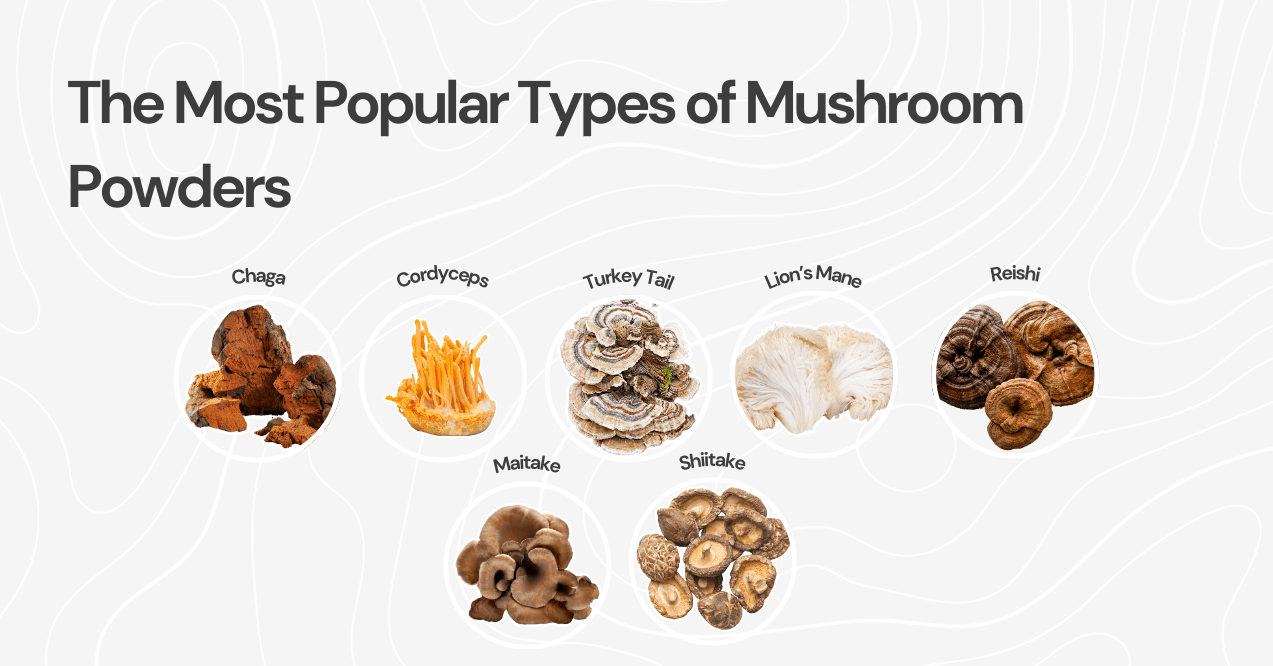 The Most Popular Types of Mushroom Powder