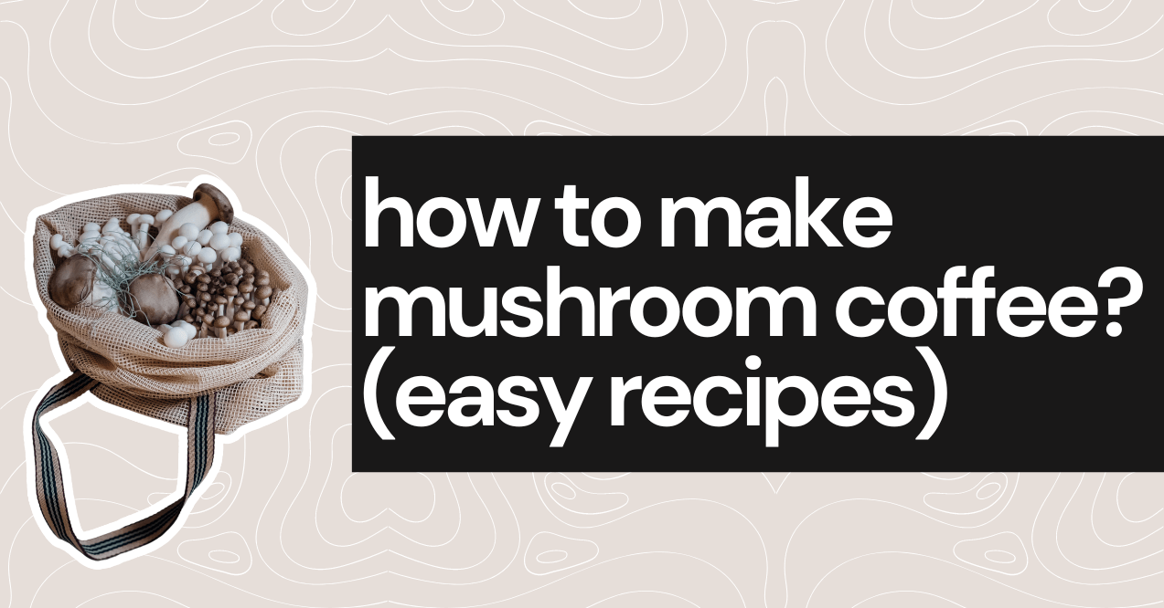 how to make mushroom coffee (easy recipes)