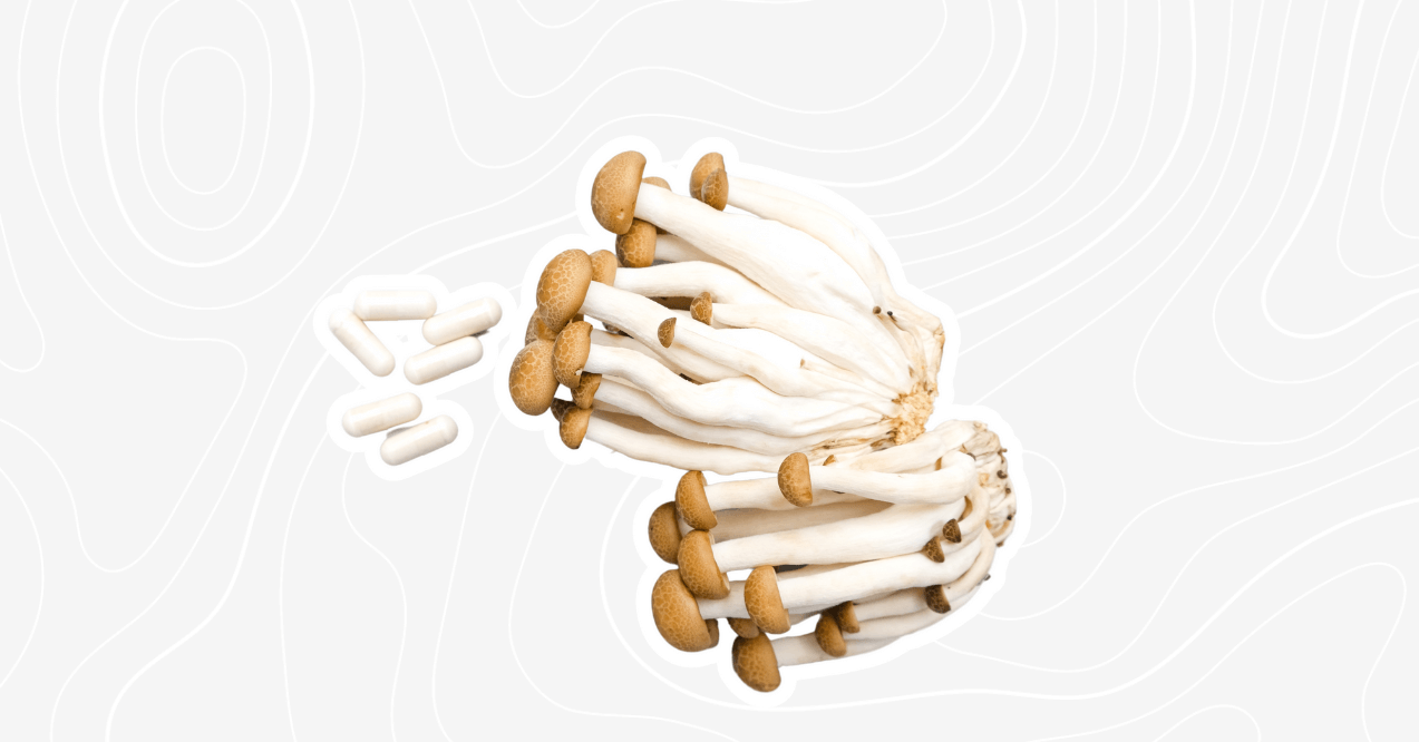 Adaptogenic Mushrooms and Pills