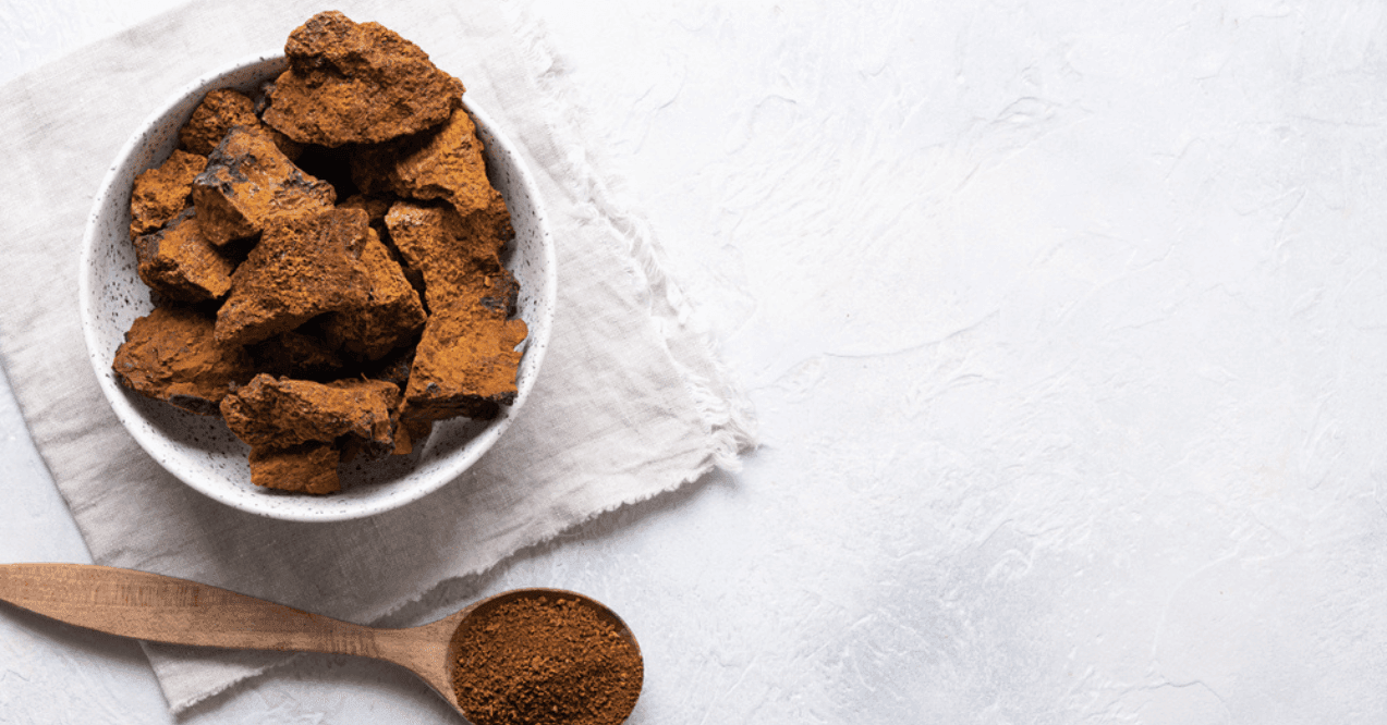 Chaga mushrooms in bowl on light table. 