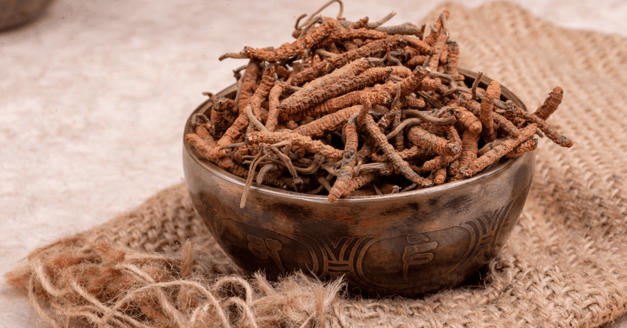 Cordyceps in a Bowl