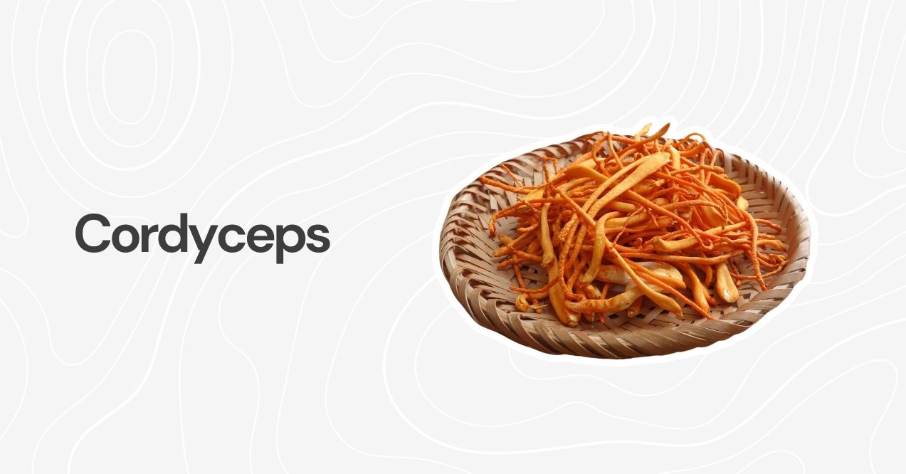 Fresh Cordyceps mushrooms arranged in a woven basket on a white backdrop.