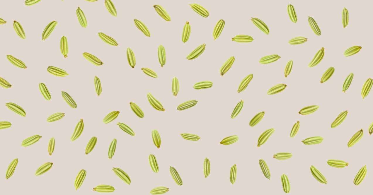 Fennel seeds in the brown background