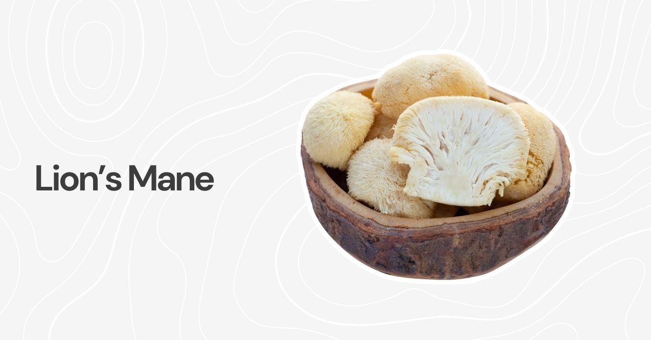 Lion's Mane mushrooms with a soft, fluffy texture placed in a wooden bowl.