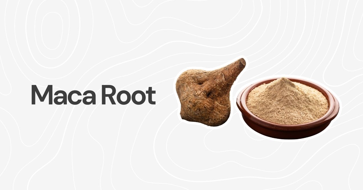 Whole maca root and ground maca powder in a wooden bowl.