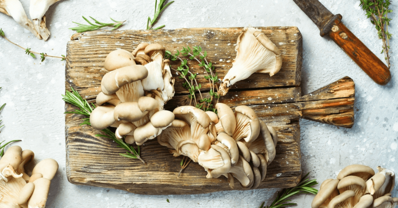 Fresh organic Maitake mushroom on a stone table.
