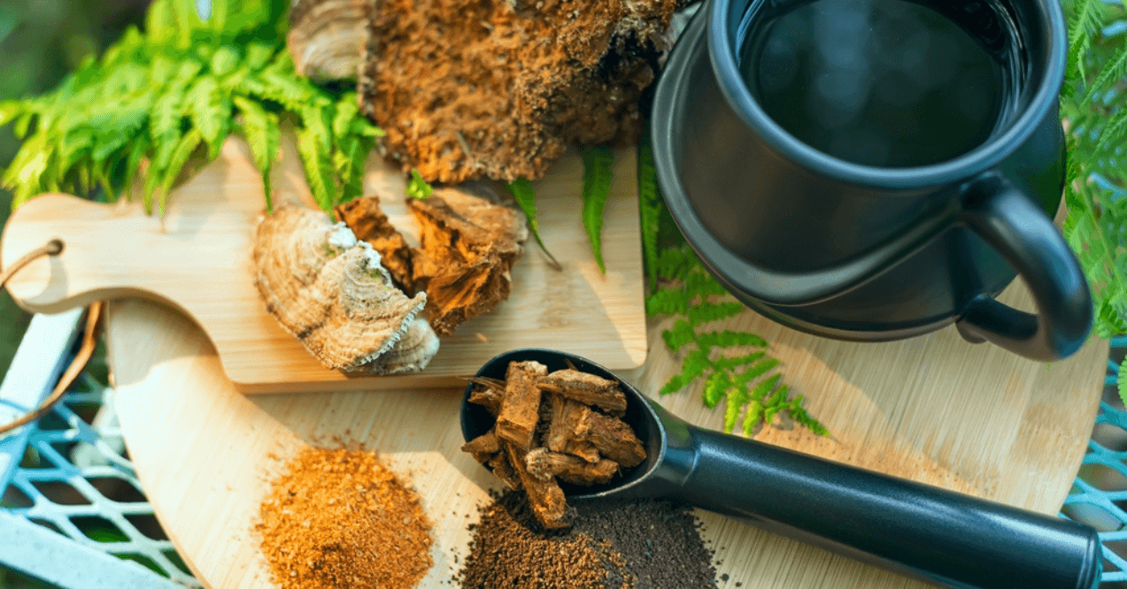 Chaga mushroom. Mushroom coffee chaga superfood. Dried mushrooms and and a cup of coffee. Healthy organic energizing adaptogen, endurance boosting food trends.