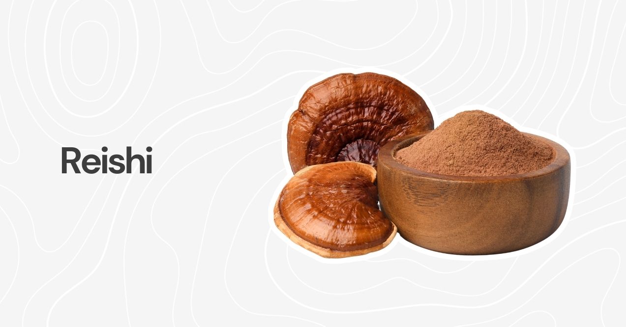 Reishi mushrooms and powder in a wooden bowl on a clean, minimal background.