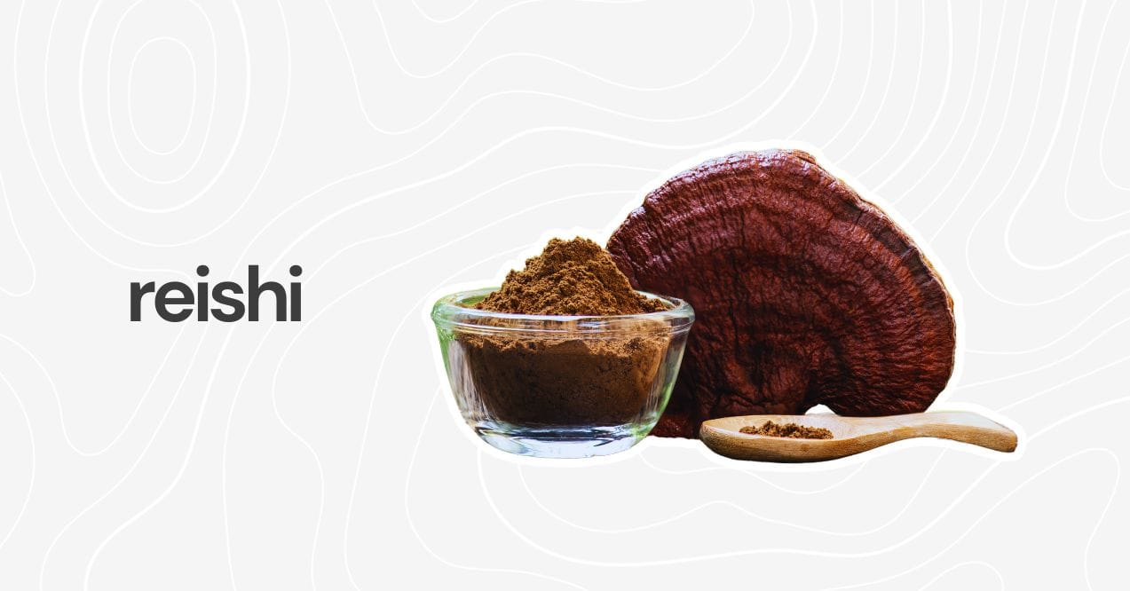 Reishi mushroom with powdered extract in a glass bowl and wooden spoon.