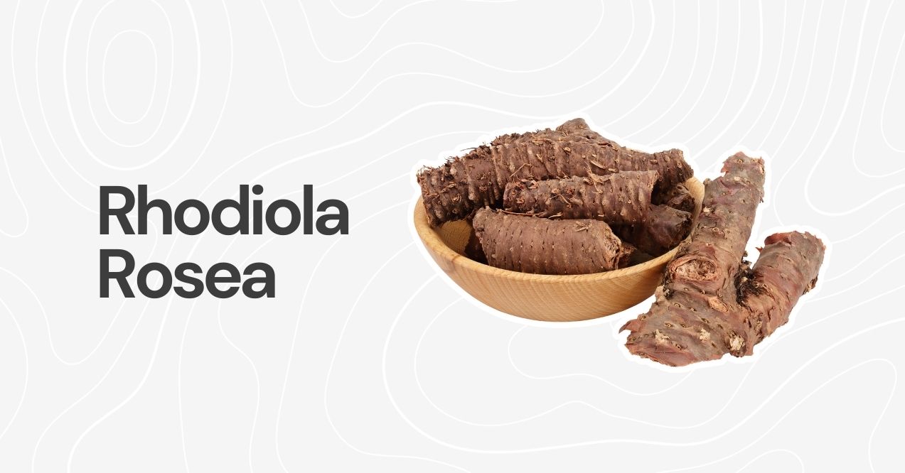 Rhodiola rosea root in a wooden bowl on a light background.