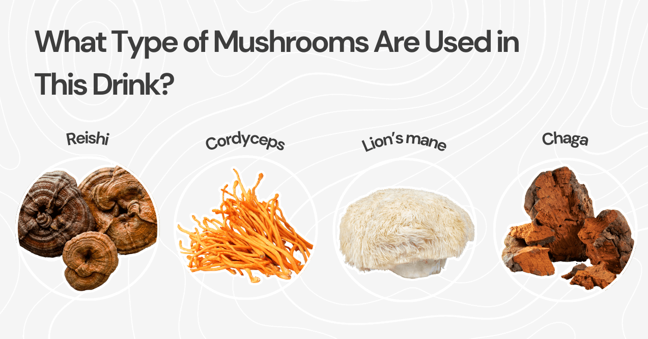 What Type of Mushrooms Are Used in This Drink? reishi, cordyceps, lion's mane, chaga