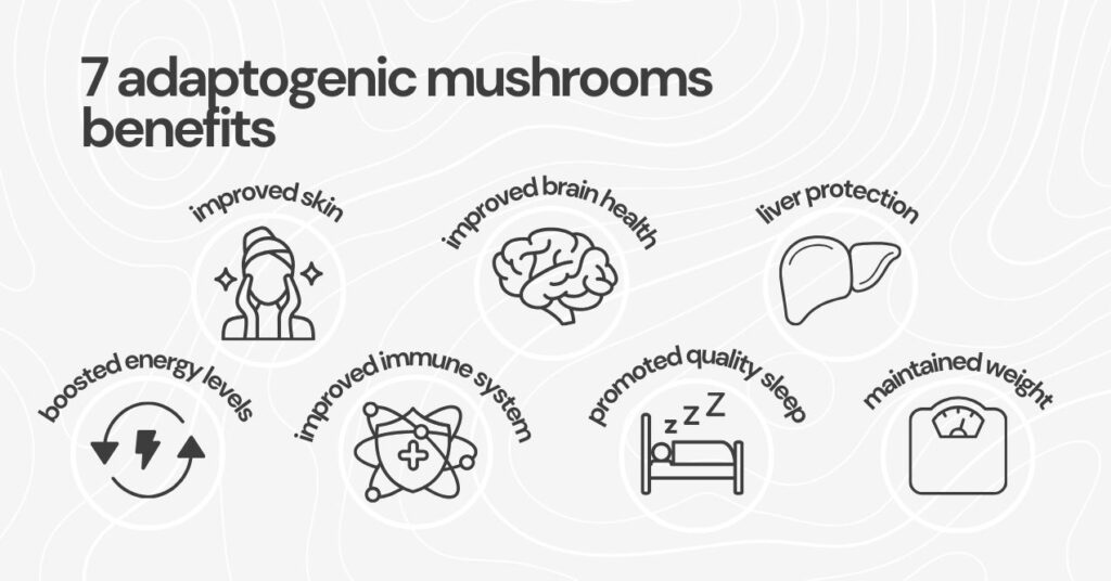 Illustration of seven adaptogenic mushroom benefits with icons for each benefit.