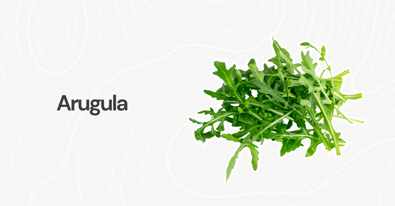 Arugula