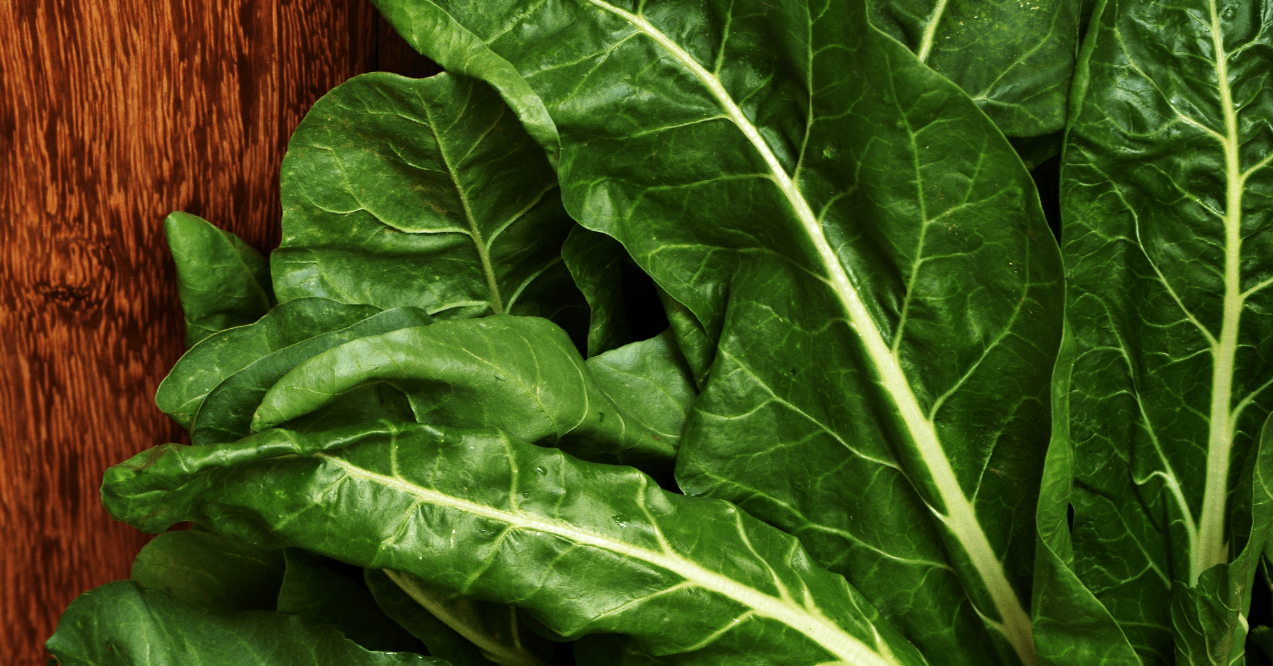 Green Swiss chard leaves with white veins macro. Healthy vegetables.