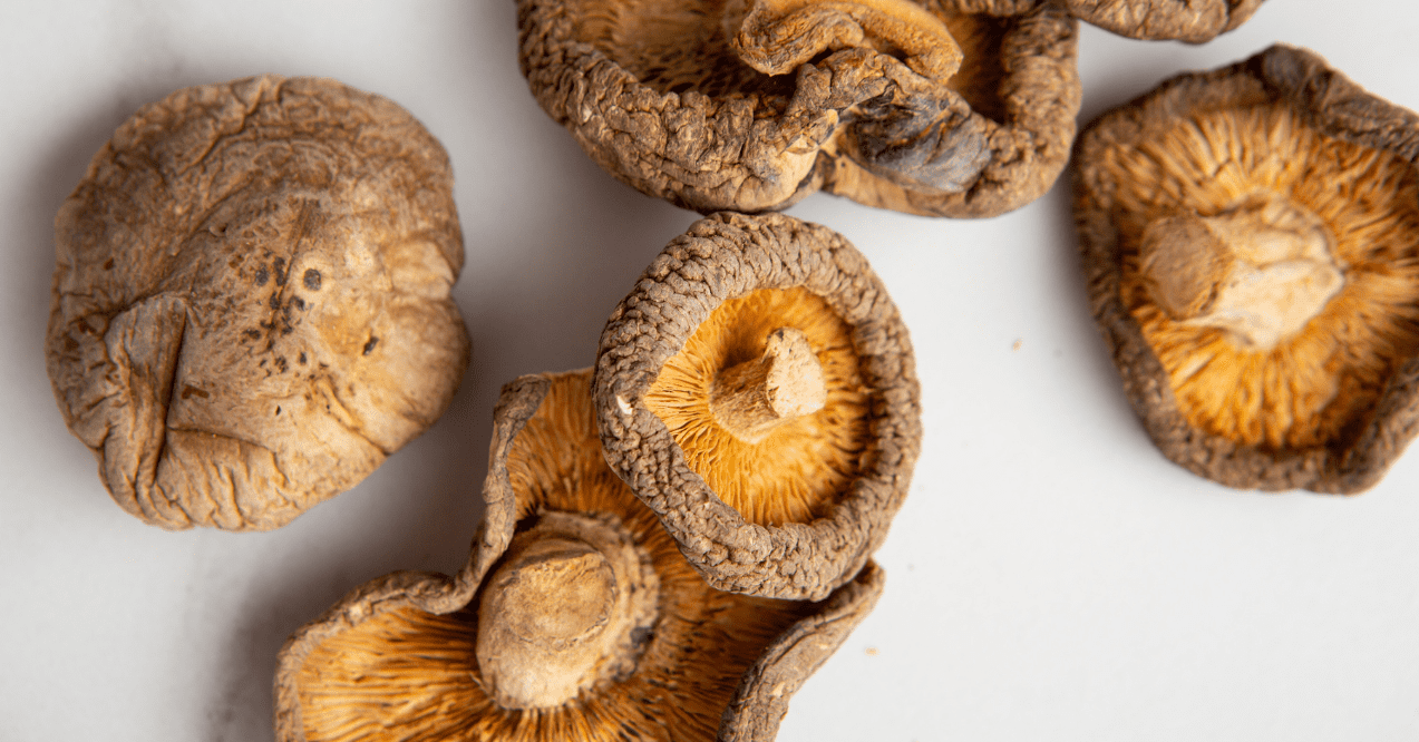 Multiple Shiitake Mushrooms