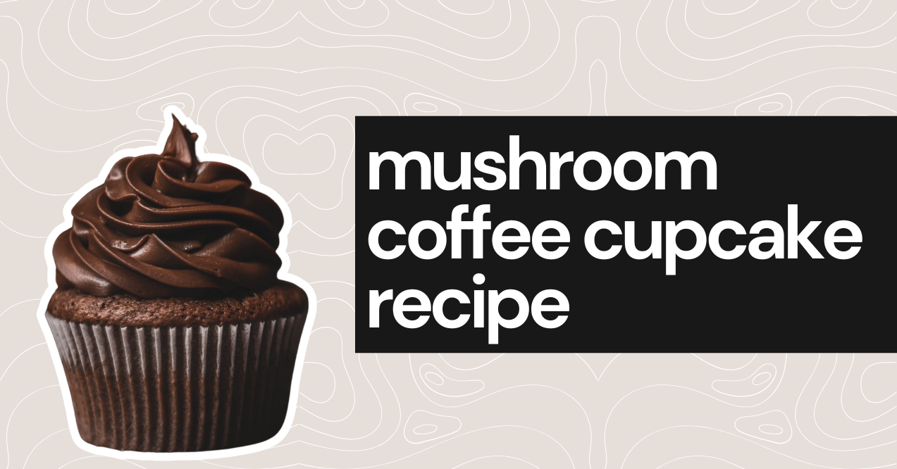 mushroom coffee cupcake recipe