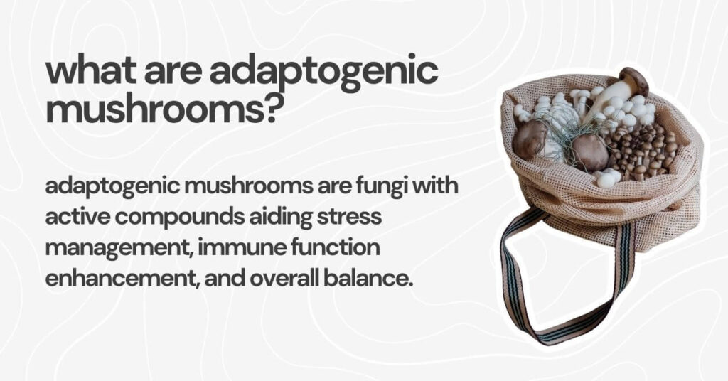 Image of a question about adaptogenic mushrooms with a description and a bag of mixed mushrooms.