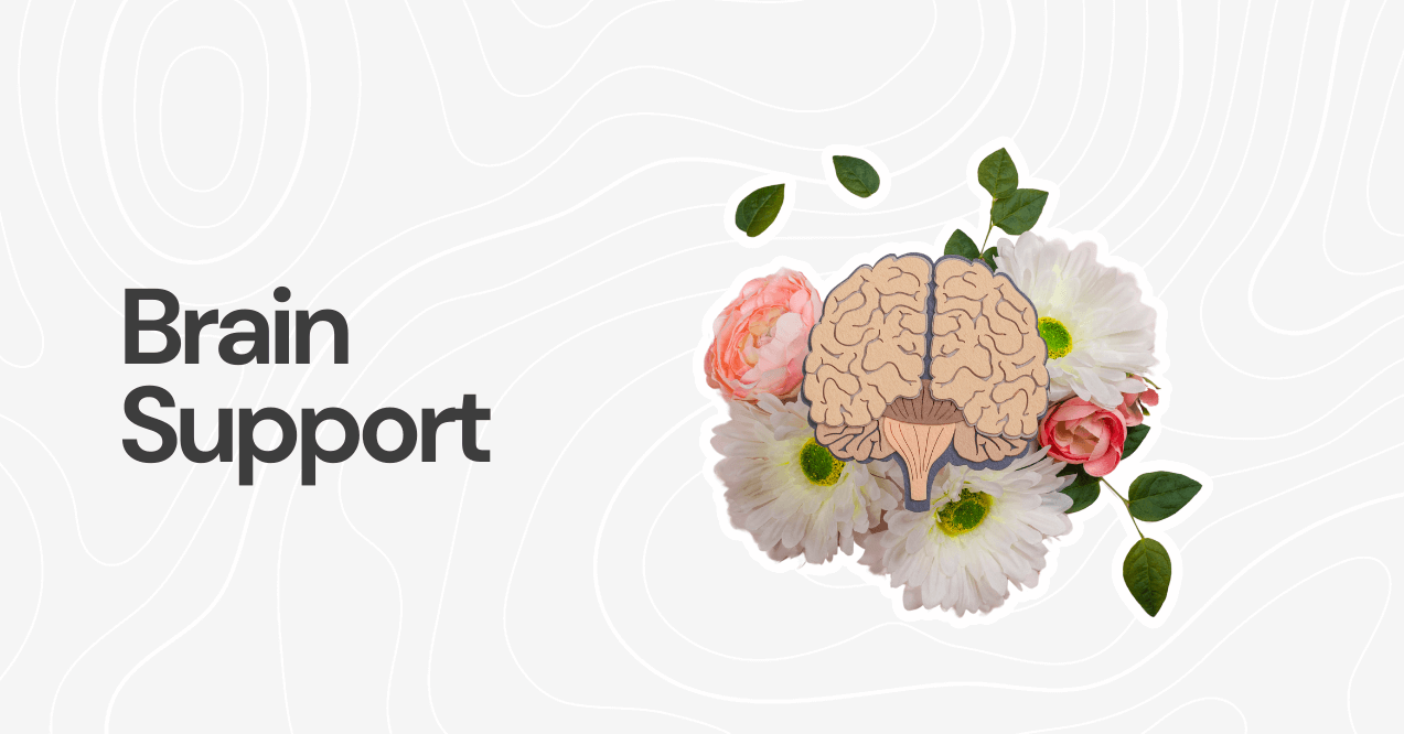 brain support